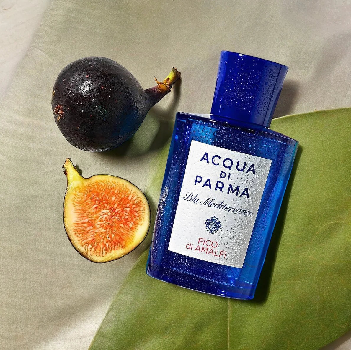 Fragrance